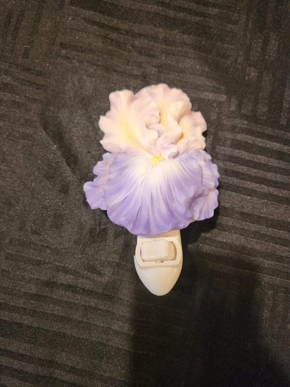 Ibis & Orchid Design Flowers of Light Iris Nightlight Hand Painted W/ Box Works
